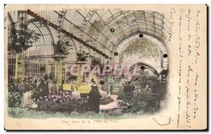 Old Postcard A Greenhouse of the City of Paris