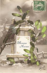 Bird in fence. Leaves  Old vintage French New Year Greetings  postcard