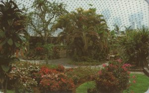 Mexico Postcard - El Invernadero - The Greenhouse, Oaxtepec    RS22112