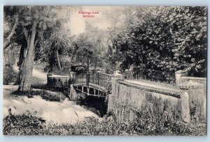 Jamaica Postcard Greetings from Jamalca Bridge View c1910 Antique Unposted