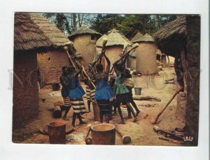 470805 Africa in pictures A group of woman grinding for food Old photo postcard