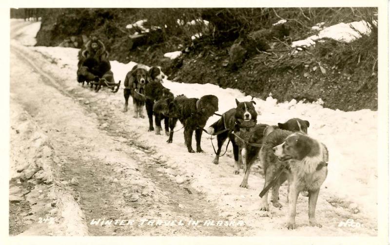 AK - Sled Dog Team.   *RPPC