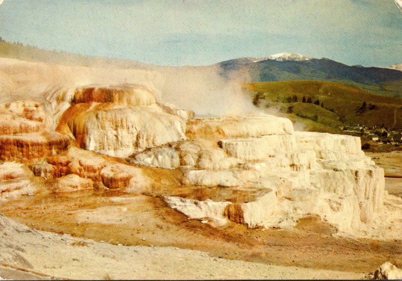 Yellowstone National Park Minerva Terrace