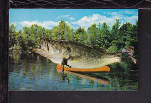 Exaggerated Fish in Canoe Postcard 