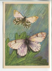 455235 USSR 1982 butterflies Dawn Vostochnaya Euchloe orientalis artist Aristov