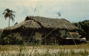 Vintage Postcard; Nepa Grass Hut & Dugout Canoe, Umatac Guam unposted