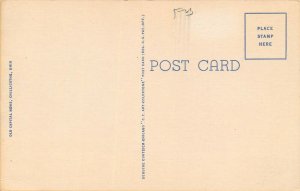 LPO38 Large Letters Chillicothe Ohio Postcard 