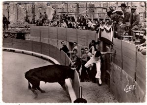 Reproduction - Corrida De Toros - RPPC -