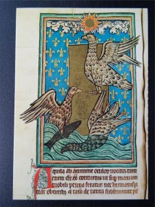 OXFORD BODLEIAN LIBRARY The Eagles form 13th Century Bestiary c1970s Postcards