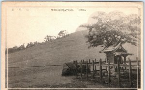 c1910s Nara, Japan Mount Wakakusayama Wakakusa Grass Mountain Collo Postcard A55