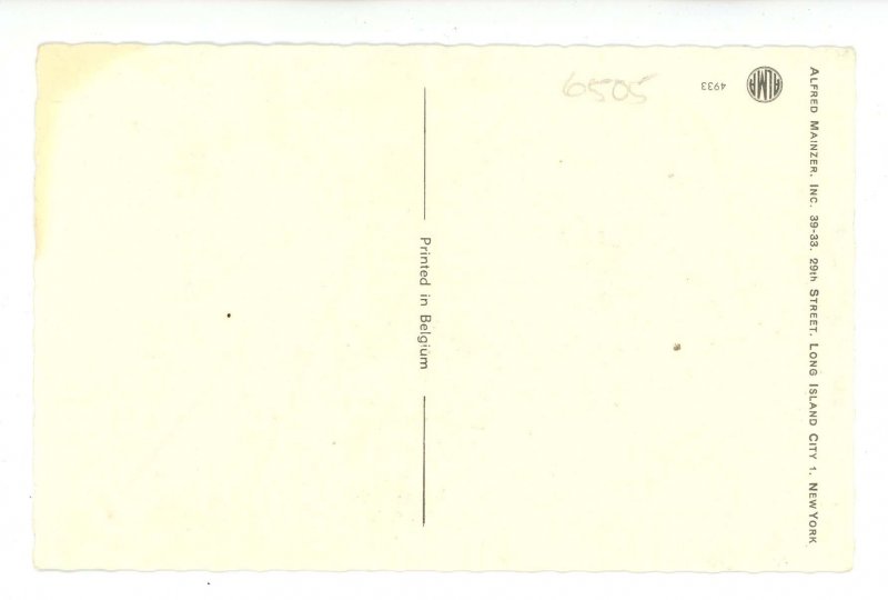 Mainzer Dressed Cats - In the Greeting Card Shop