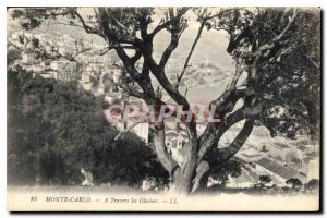 Old Postcard Monte Carlo A Travers les Oliviers