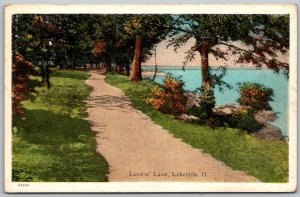 Lakeside Ohio 1920s Postcard Lovers Lane