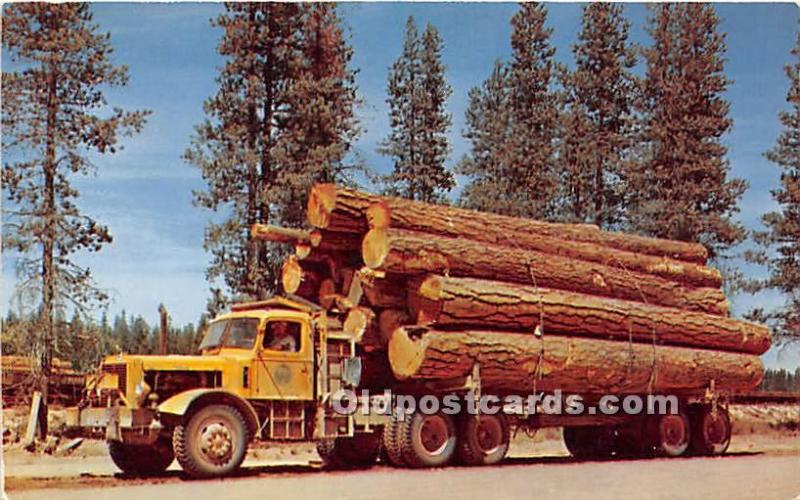 Roadside scene of Logging Washington, Oregon, USA Logging, Timber Unused 