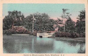 Westfield New Jersey Mindowaskin Park Scenic View Vintage Postcard AA51195