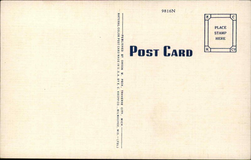CHERRYLAND Grand Traverse Michigan MI Large Letter Linen Postcard