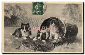 Postcard Old Dog Dogs Puppy