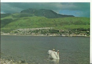 Scotland Postcard - Fort William and Loch Linnhe - Towards Ben Nevis  Ref 18506A