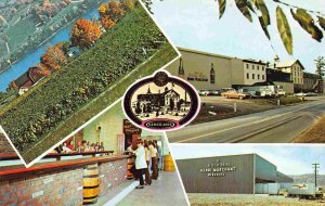 Gold Seal Vineyards Keuka Lake Hammondsport New York 1960s postcard