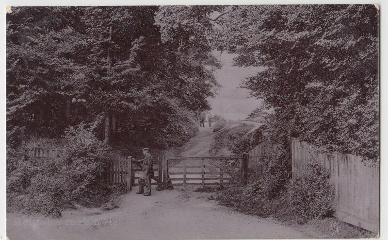 Surrey; Reigate Park Gate PPC, By Tuck, 1905 PMK, To Mrs Clifford, Oakham