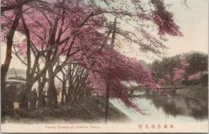 Akasaka Tokyo Japan Cherry Blossom Trees Blossoms Unused Postcard G93