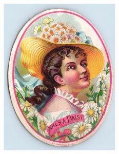 1870s-80s She's A Daisy Tobacco Cigar Box Label Geo S. Harris Original 7H