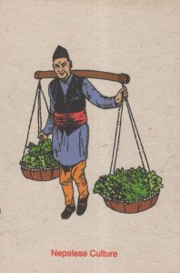 Mithila Art Indian Madhubani Nepalese Vegetable Carrier Painting Postcard