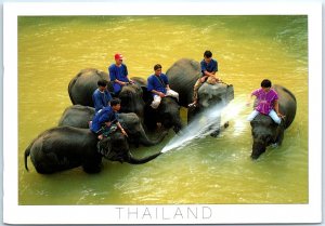 M-49416 Elephant Training Chiang Mai Thailand