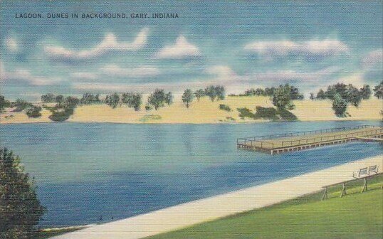 Lagoon Dunes In Background Gary Indiana