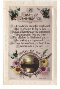 Token Of Remembrance, Forget Me Not, Antique Tinted Rotary Photo Postcard, RPPC