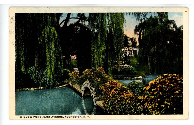 NY - Rochester. Willow Pond Scene