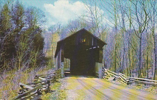 Greggs Mill Covered Bridge #6 Over Wakatomica Creek Fallsburg Ohio