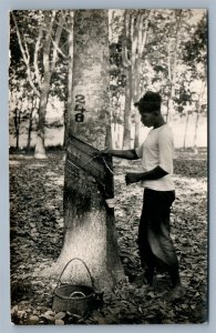 SUMATRA INDONESIA PARA RUBBER TREE TAPPING VINTAGE REAL PHOTO POSTCARD RPPC