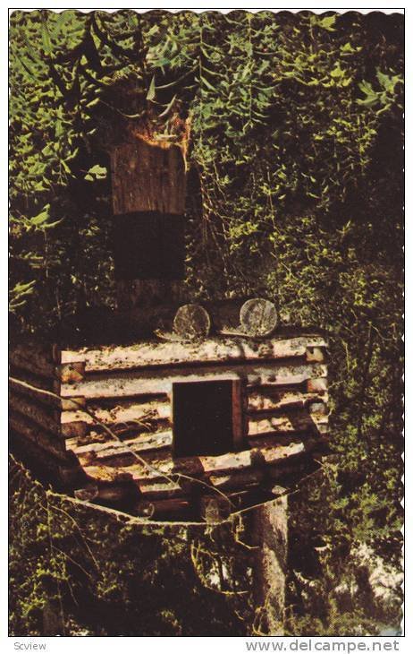 Wilderness cache with Tin Sheathing , Rockies , Alberta , Canada , 40-60s