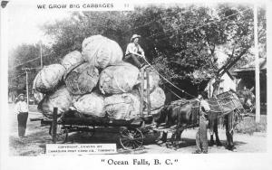 Canada Farm Agriculture Ocean Falls BC 1930s RPPC Exaggeration Postcard 2324