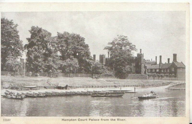 Middlesex Postcard - Hampton Court Palace from The River - TZ12259