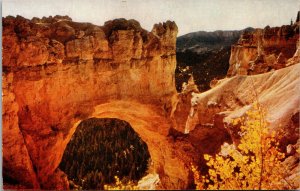 Vtg 1950s Natural Bridge Bryce Canyon National Park Utah UT Unused Postcard