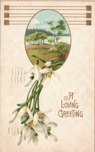Vintage Postcard 1911 A Loving Greeting Card Beautiful White Flowers Nature View