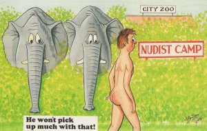 Bamforths Nudist Camp Colony Elephant 1970s Comic Postcard