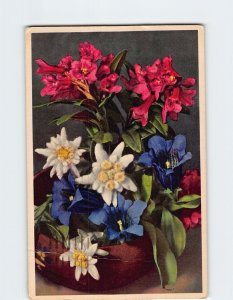 Postcard Rhododendron ferrugineum Plant