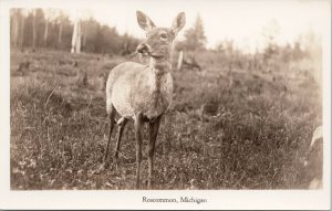 Roscommon MI Deer Unused Real Photo Postcard F74