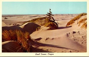 Oregon Sand Dunes