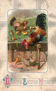 Loving Easter Wishes Rooster Hen Chicks Eastertide Wish Vintage Postcard 1912