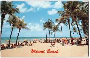 MIAMI BEACH Florida Beach Scene Palm Trees 1950s Vintage Postcard