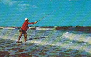 Surf Fishing