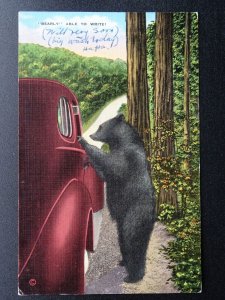 BEAR Theme USA Milwaukee BEARLY' ABLE TO WRITE! c1941 Postcard by Mrs M. Gribble