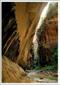 Postcard - The Virgin River and Its Tributaries, Zion National Park - Utah