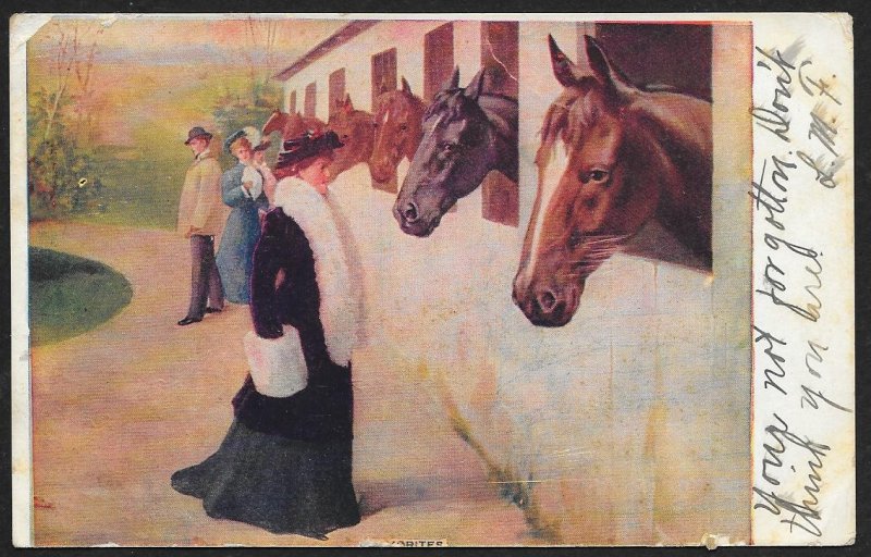 Fancy Dressed Ladies & Man Looking At Horses Used c1907