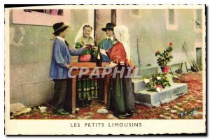 Old Postcard Little Limousin