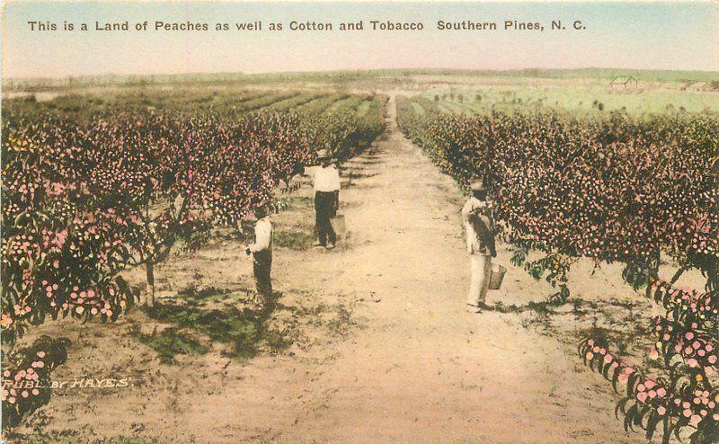tobacco houses burtonwood Case Study: Wildwood Tobacco Barns, North Carolina (U.S. National Park  Service)